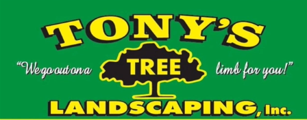 Tony Tree Services